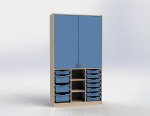 Cabinet with doors and 11 plastic drawers